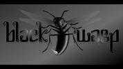 BlackWasp Academy